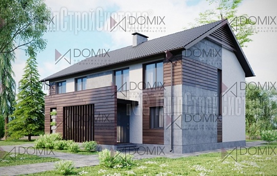 DOMIX - 1