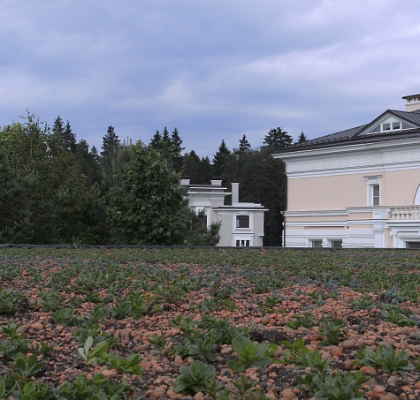 Зелёная кровля