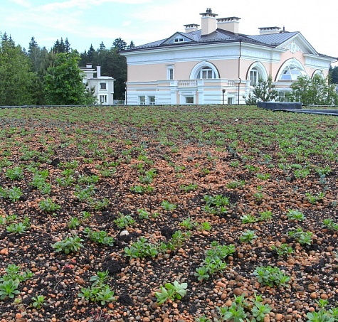 Зелёная кровля